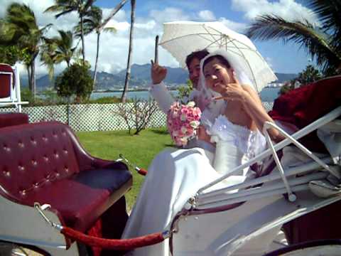 Horse Carriage ride following your wedding