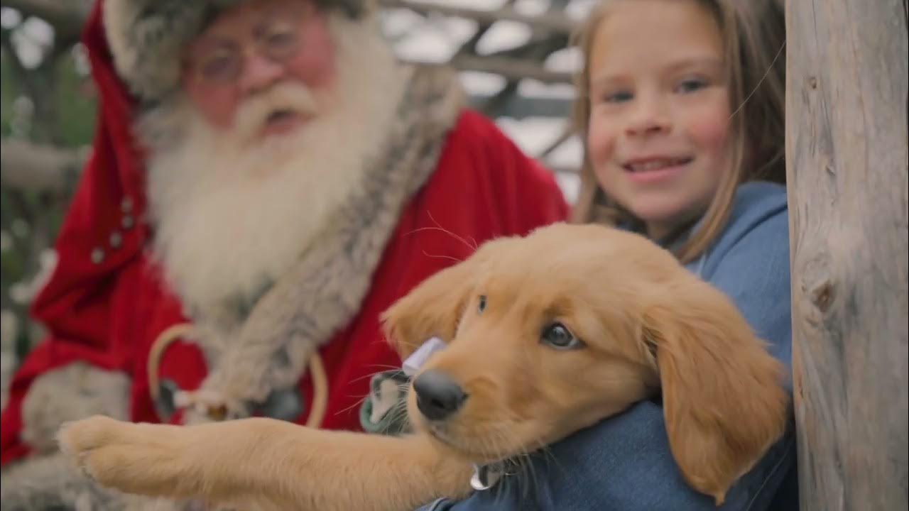 Christmas at the Silos 2022 YouTube