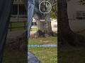 What&#39;s The Smallest thing I Can Shoot With a Slug Gun. #shoot #gun #trick shots #shorts