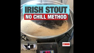 Irish Stout  No Chill method