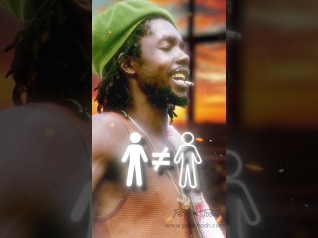 Honoring PETER TOSH on World Day of Social Justice