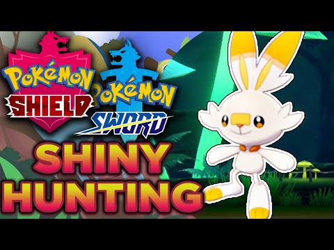 LIVE SHINY HUNTING SCORBUNNY - Pokemon Sword and Shield Live stream - LIVE SHINY HUNTING SCORBUNNY - Pokemon Sword and Shield Live stream