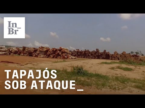 BR-163: A rodovia de desmatamento - Tapajós sob ataque