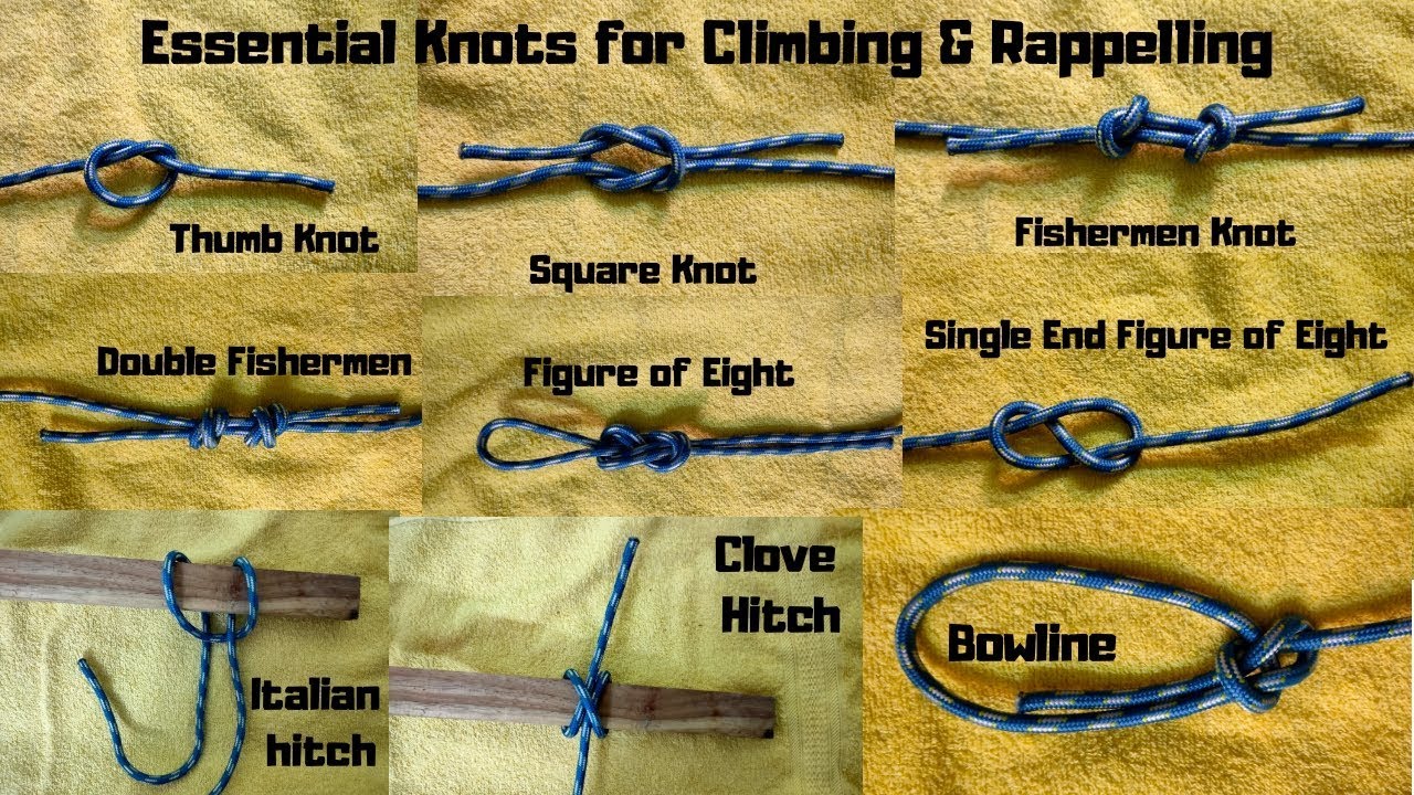 Essential Knots for Climbing & Rappelling, Essential Knots You Need To  Know