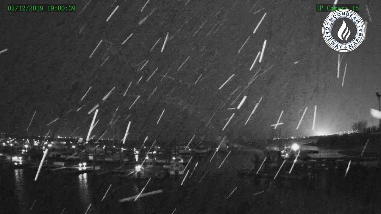 Moonbeam Gateway Marina LIVE CAM YouTube