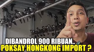 WHAT IS MY DREAM? IMPORTED HONG KONG POKSAY IS PRICED FOR 900 THOUSAND IDR AT THE LANGGENG JAYA M...