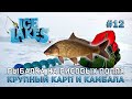 Рыбалка на Рисовых Полях. Крупный карп и камбала - Ice Lakes #12