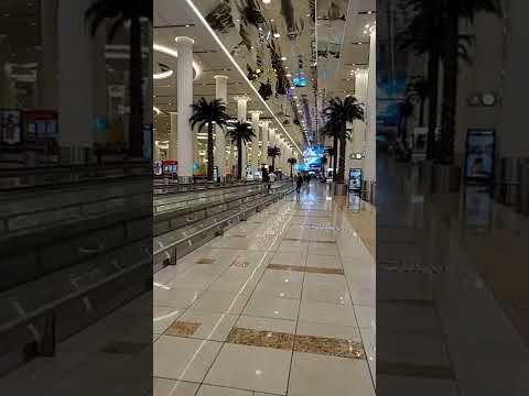 Videó: A Dubai nemzetközi repülőtér koronavírus-szagoló kutyákat telepít
