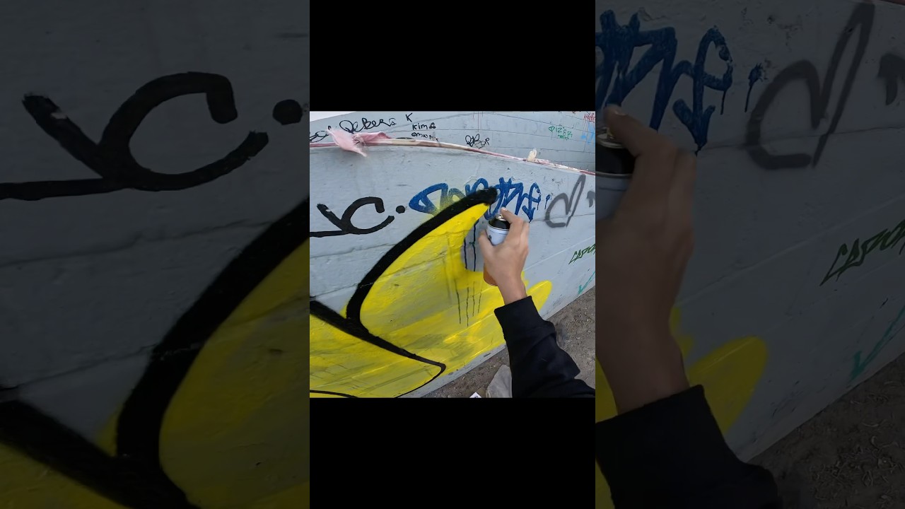 Hoy salí a buscar una barda para graffitear