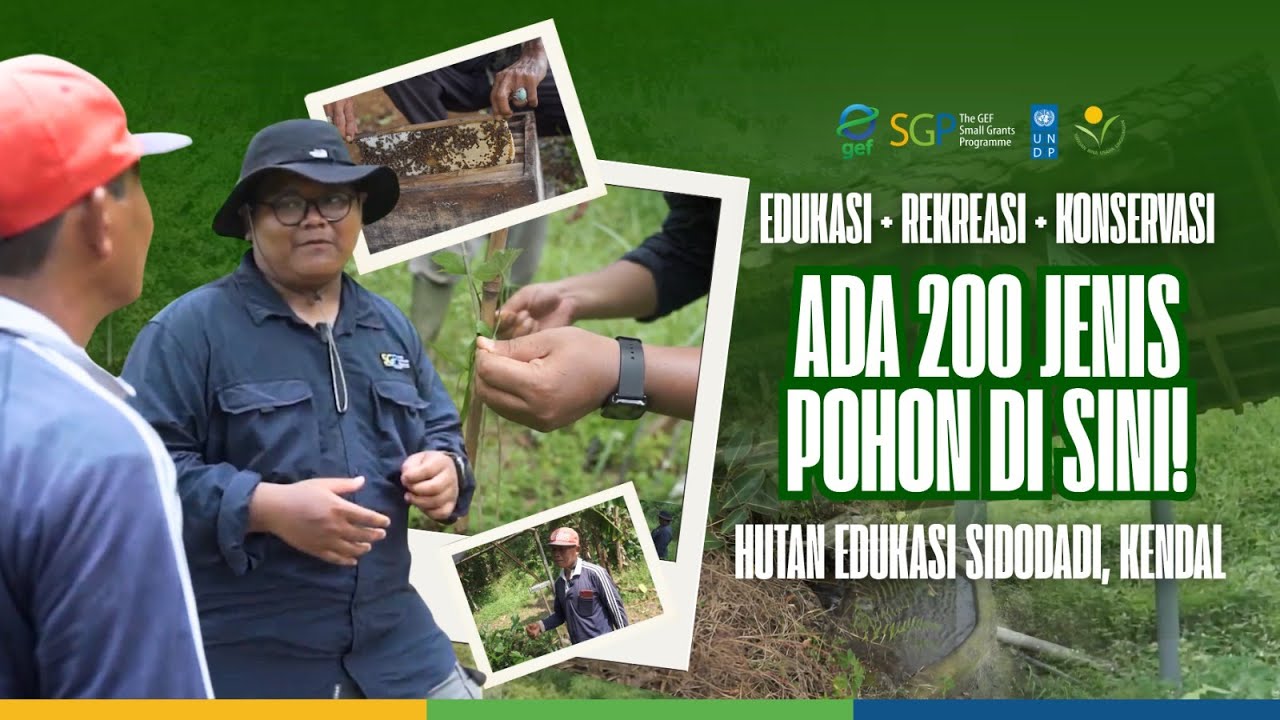 Hutan Edukasi Sidodadi, Laboratorium Alam 10 Hektar Pelindung Mata Air dan Penghasil Madu Murni