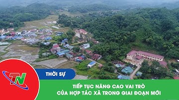 Tiếp tục nâng cao vai trò của hợp tác xã trong giai đoạn mới