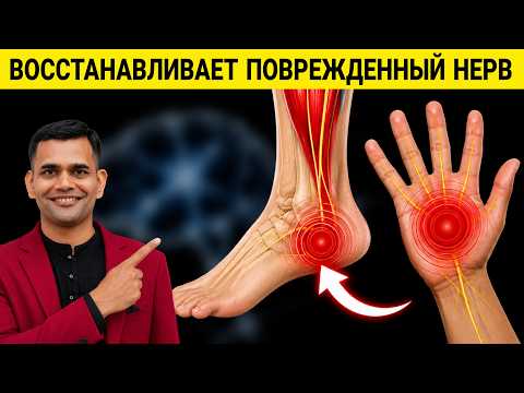 НЕРВЫ - ЧАСТАЯ ПРИЧИНА ПРОБЛЕМ В ТЕЛЕ!