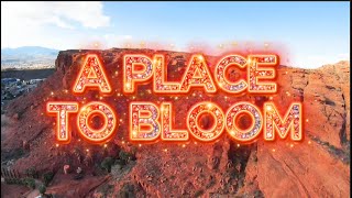 A Place to Bloom (Chapter 3)