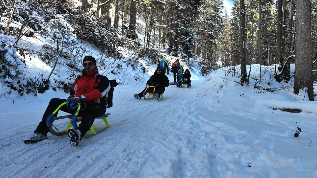 Winter Magic in the Bavarian Alps | Snow Walk & Sledding at Spitzingsee