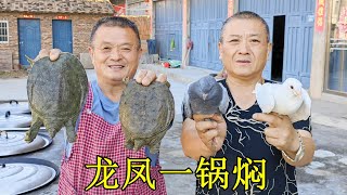 8只甲魚，8只鴿子，阿胖山做“龍鳳壹鍋焖”，出鍋直接抱著啃，過瘾