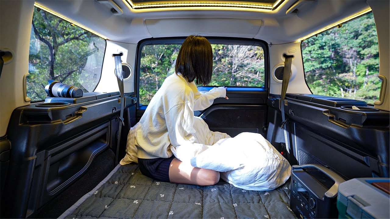 [156] Кемпинг один день в октябре после тяжелого дня. ВанЛайф | Влог | Расслабляющий | Успокаивающий