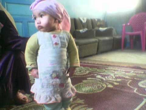 انور عبد العزيز ابو هاشم