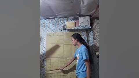 GRADE 11 GAS GENERAL MATH PERFORMANCE TASK