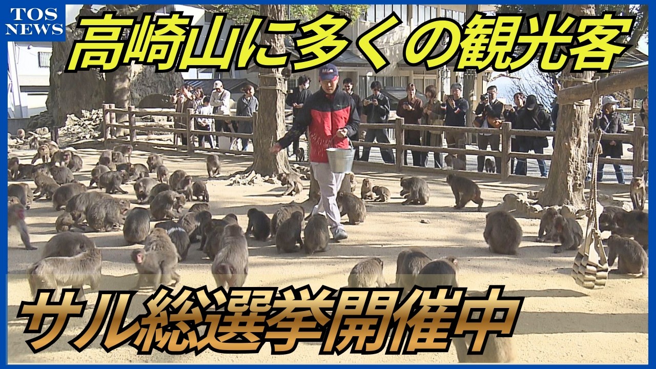 3連休最終日 大分県内の行楽地はにぎわい 野生のサルの餌付けで知