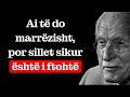 3 Shenja Që Të Do Por Nuk E Pranon Carl Jung