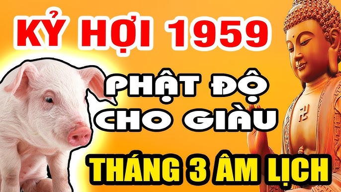 Lợn Kỷ Hợi - Tất Tần Tật Thông Tin Về Lợn Kỷ Hợi, Đặc Điểm, Giá Trị Kinh Tế và Văn Hóa