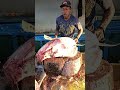 Witnessing Uncle Mikdim's best sharp machete enthusiastically splitting a big tuna #fyp #tuna #fish