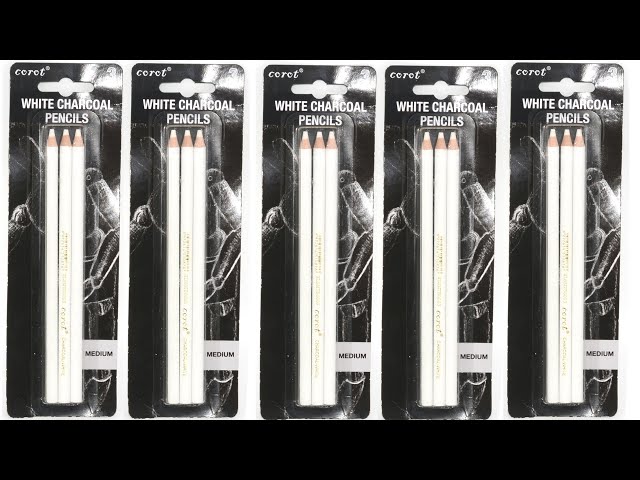 Review Brustro Artists White Charcoal Pencil