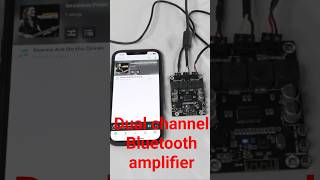 Dual channel Bluetooth amplifier circuit board testing video  #subwoofer #amplifierboard #arduino