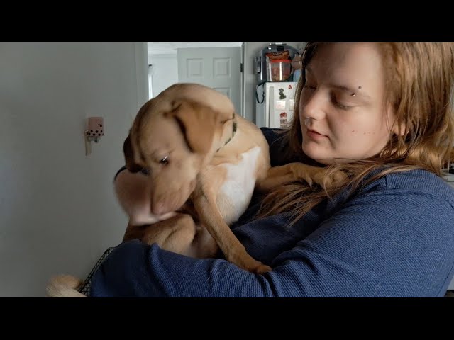 ASMR- IM ALIVE update I moved and meet my puppy 😭💗