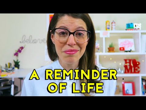 How to Live in the Moment // VLOG14