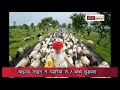 Dewas News, गड़रियों से चाइल्ड लाइन ने 7 बच्चे मुक्त करवाए, भेड़ चराने के लिए लाए थे
