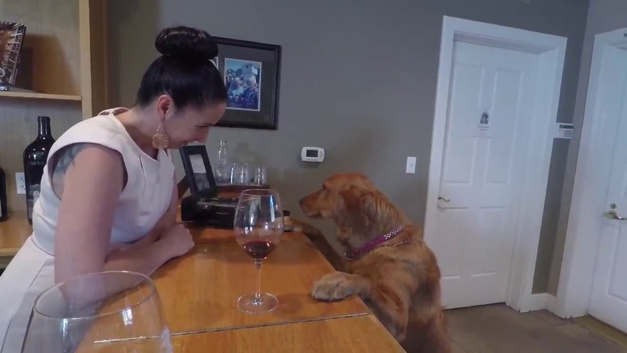 Silver Oak Cellars Wine Tasting