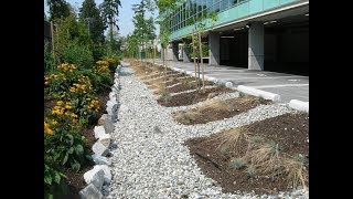 Innovative Stormwater Management at the Property Scale