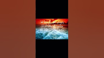 القرآن الكريم/ سورة الكهف 47-49/ ماهر المعيقلي ❤️