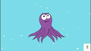 12  Octopus Song
