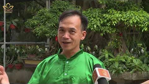 KHÍ CÔNG LÂM SƠN ĐỘNG