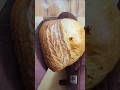 sourdough scoring : simple wheat stalk#sourdough#sourdoughbread#bread #baking #홈베이킹