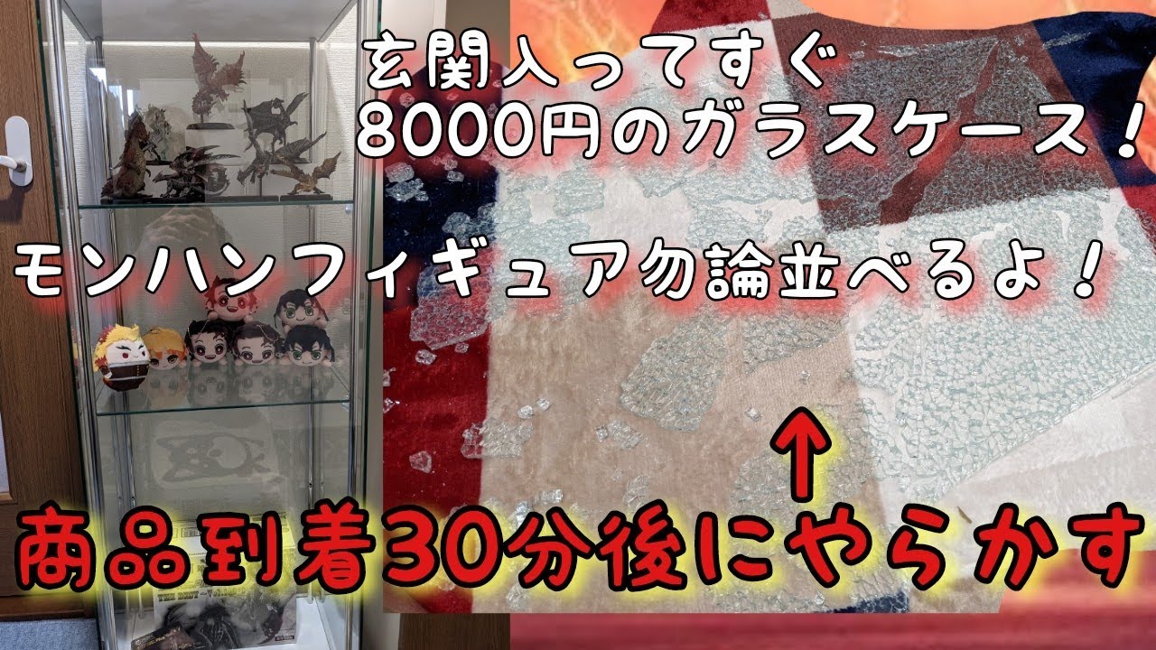 モンハンフィギュア • スタンダードモデル】5万円のガラスケースに入り