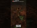 "Frog Jumps" Achievement! 🐸 Tomb Raider III Remastered 4K #shorts