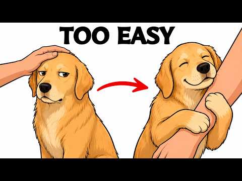6 Boring Habits That Quietly Make Your Dog Love You More