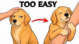 6 Boring Habits That Quietly Make Your Dog Love You More