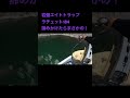 エイトトラップスイッチ入ってたらこの距離でもいける #fishingdaily #fishing #魚釣り #バス釣り #bassfishing #gancraft #ビッグベイト #bigbite