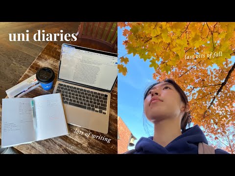 productive days in my life: studying at cafe, grad school application, mini stationery haul🍂