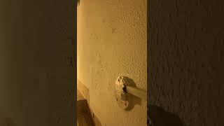 IMG 5827 23:10 25 MAY 2025