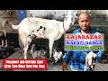 Do Male Bacchon Ke Sath Battisi Bakri Aur Kuch Totapuri Gabhin Bakriyan For Sale @Narkeldanga Market