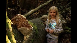 LENE UND DIE GEISTER DES WALDES - Offizieller Trailer LENE UND DIE GEISTER DES WALDES - Offizieller Trailer
