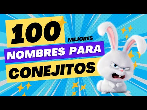 100 MEJORES Nombres Para TU CONEJITO | 2025