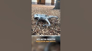 How Robots Simulate Interactions