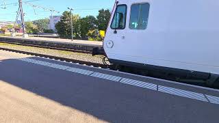 S11 nach Stein-Säckingen 
