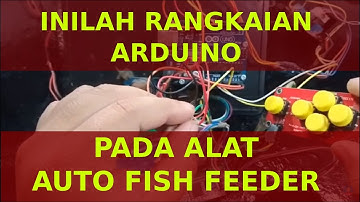 Bongkar Project lama - Auto Fish Feeder (Pemberi Pakan Ikan Otomatis dan terjadwal)